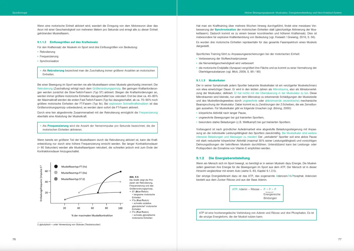 Bild: 9783964161017 | Fit im Schulsport | Optimales Sportwissen für das Sportprofil | Buch