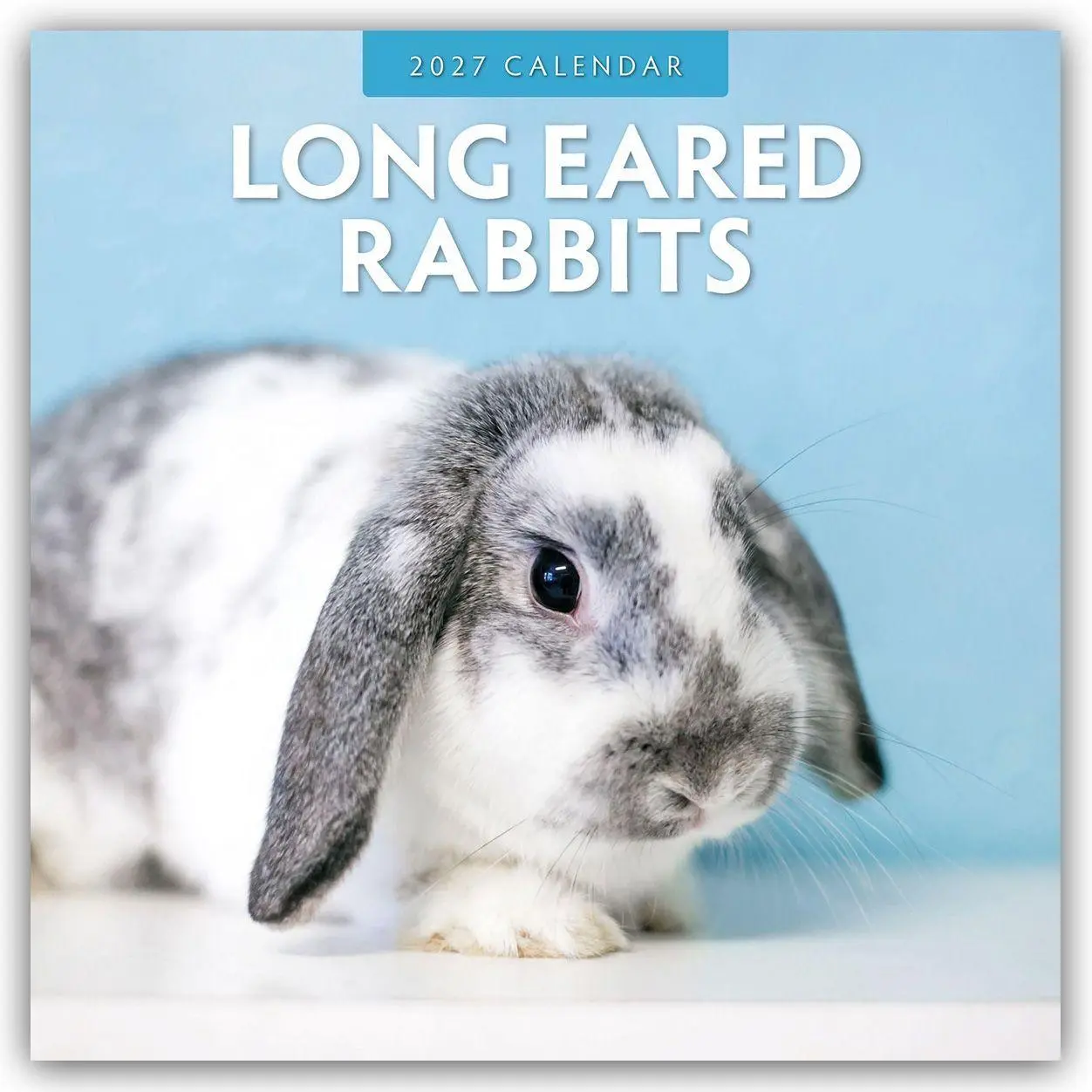 Cover: 9781837011117 | Long Eared Rabbits - Langohrhasen 2027 - 16-Monatskalender | Robin Red