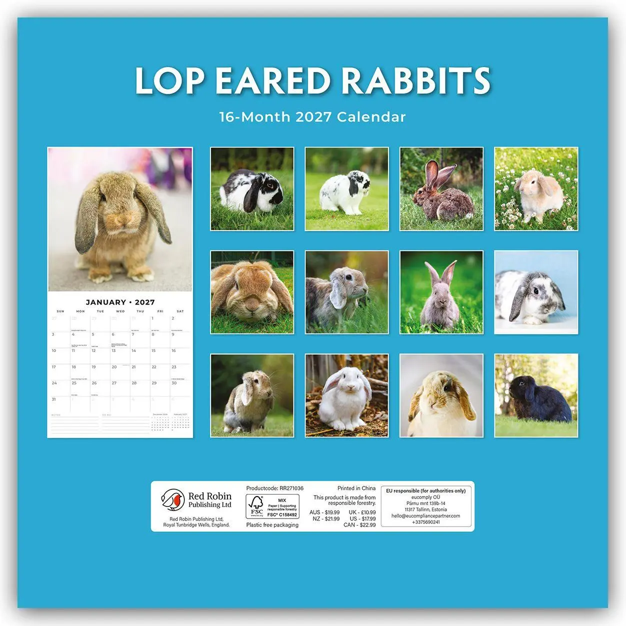 Rückseite: 9781837011117 | Long Eared Rabbits - Langohrhasen 2027 - 16-Monatskalender | Robin Red