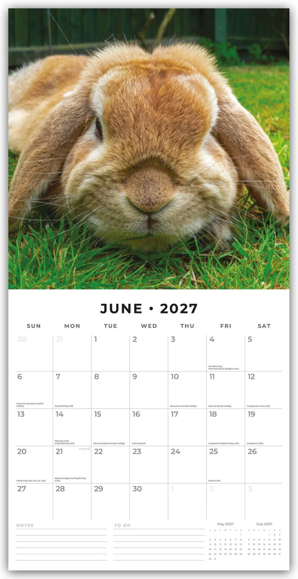 Bild: 9781837011117 | Long Eared Rabbits - Langohrhasen 2027 - 16-Monatskalender | Robin Red
