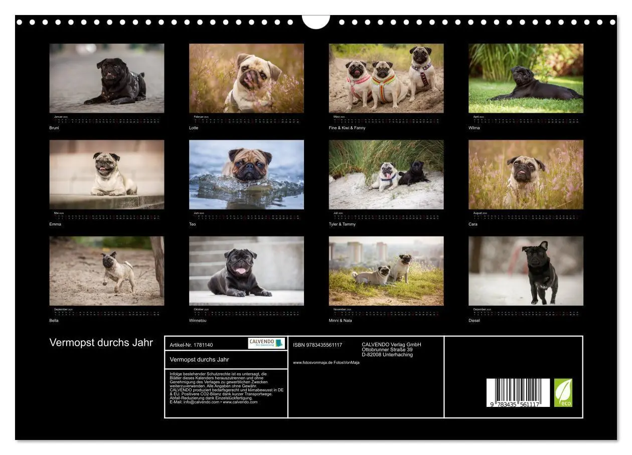 Bild: 9783435561117 | Vermopst durchs Jahr (Wandkalender 2025 DIN A3 quer), CALVENDO...