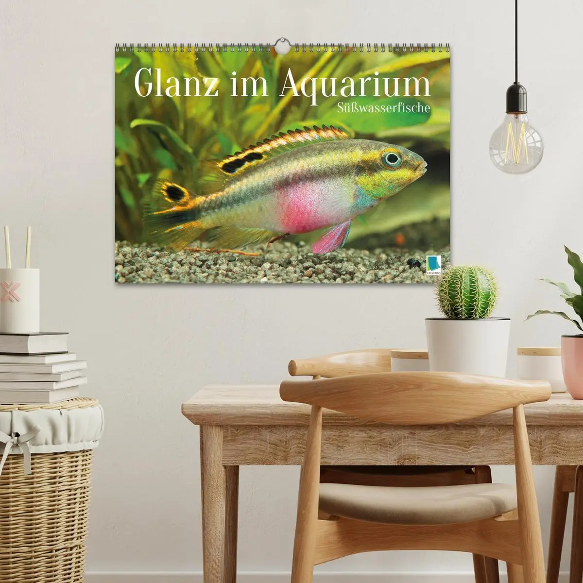 Bild: 9783457271117 | Glanz im Aquarium: Süßwasserfische (Wandkalender 2026 DIN A3 quer),...
