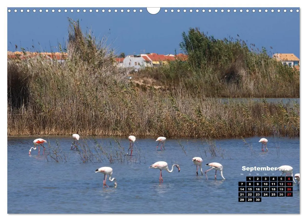 Bild: 9783516121117 | Costa Blanca - Sonne, Strand und mehr (Wandkalender 2026 DIN A3...