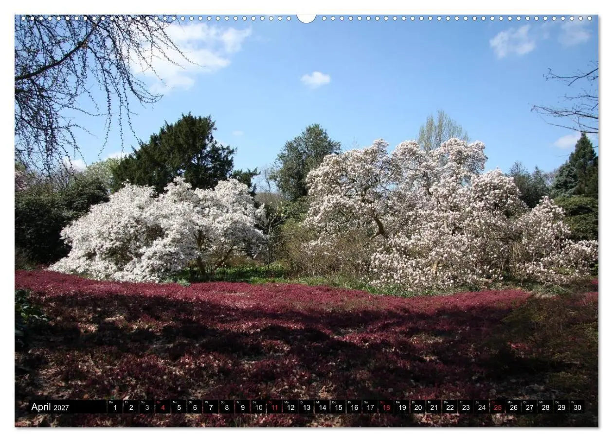 Bild: 9783594031117 | Hannovers prachtvolle Gärten (Wandkalender 2027 DIN A2 quer),...