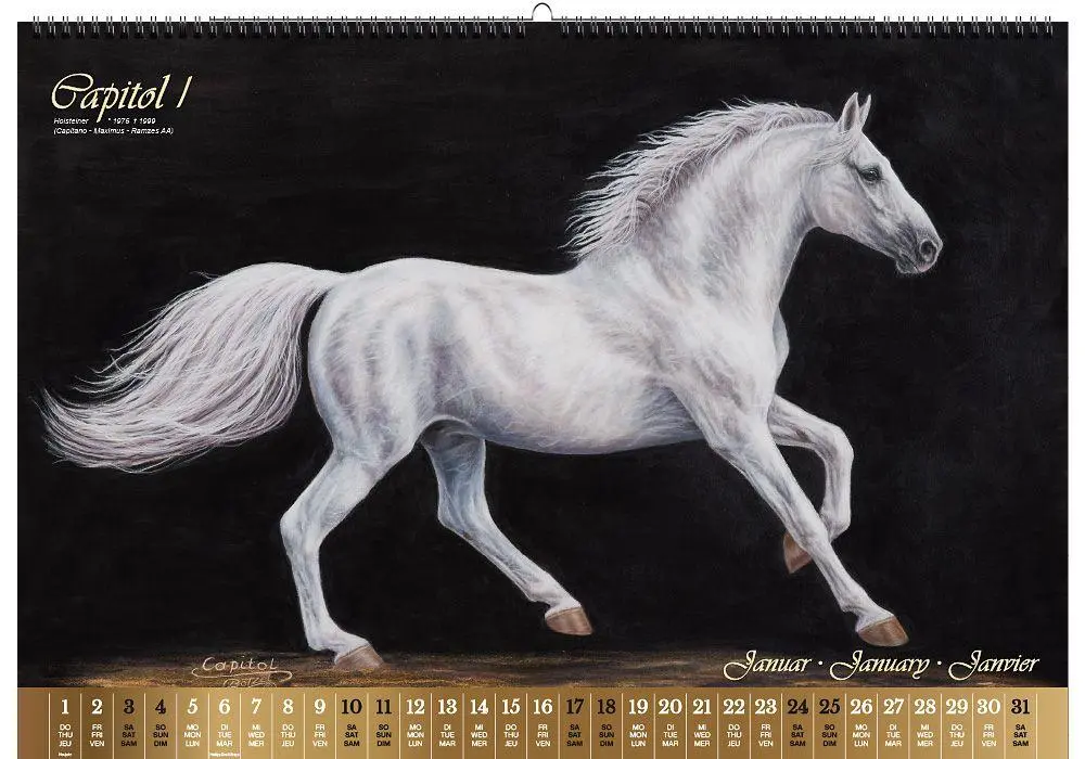 Bild: 9783949471117 | Vererberlegenden 2026 | Hengste der Warmblutzucht | Verlag | Kalender