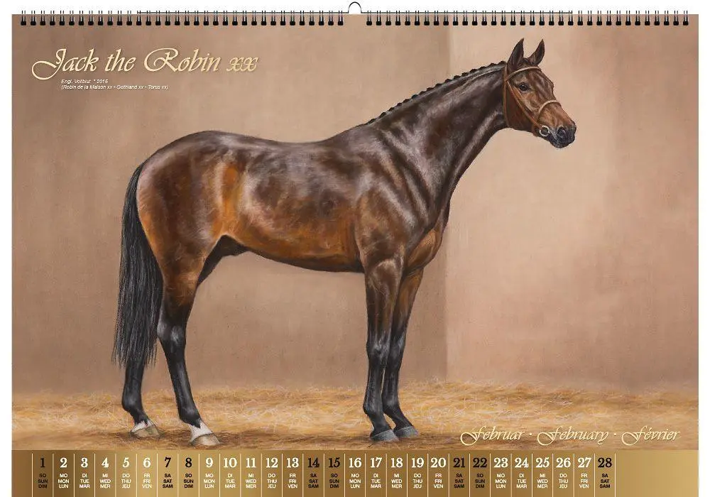 Bild: 9783949471117 | Vererberlegenden 2026 | Hengste der Warmblutzucht | Verlag | Kalender