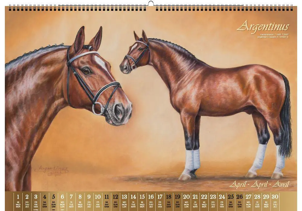 Bild: 9783949471117 | Vererberlegenden 2026 | Hengste der Warmblutzucht | Verlag | Kalender