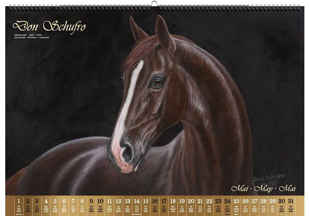 Bild: 9783949471117 | Vererberlegenden 2026 | Hengste der Warmblutzucht | Verlag | Kalender