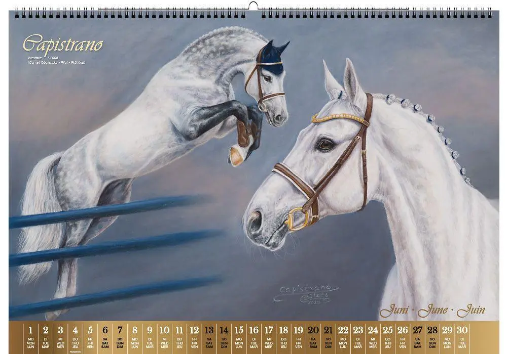 Bild: 9783949471117 | Vererberlegenden 2026 | Hengste der Warmblutzucht | Verlag | Kalender