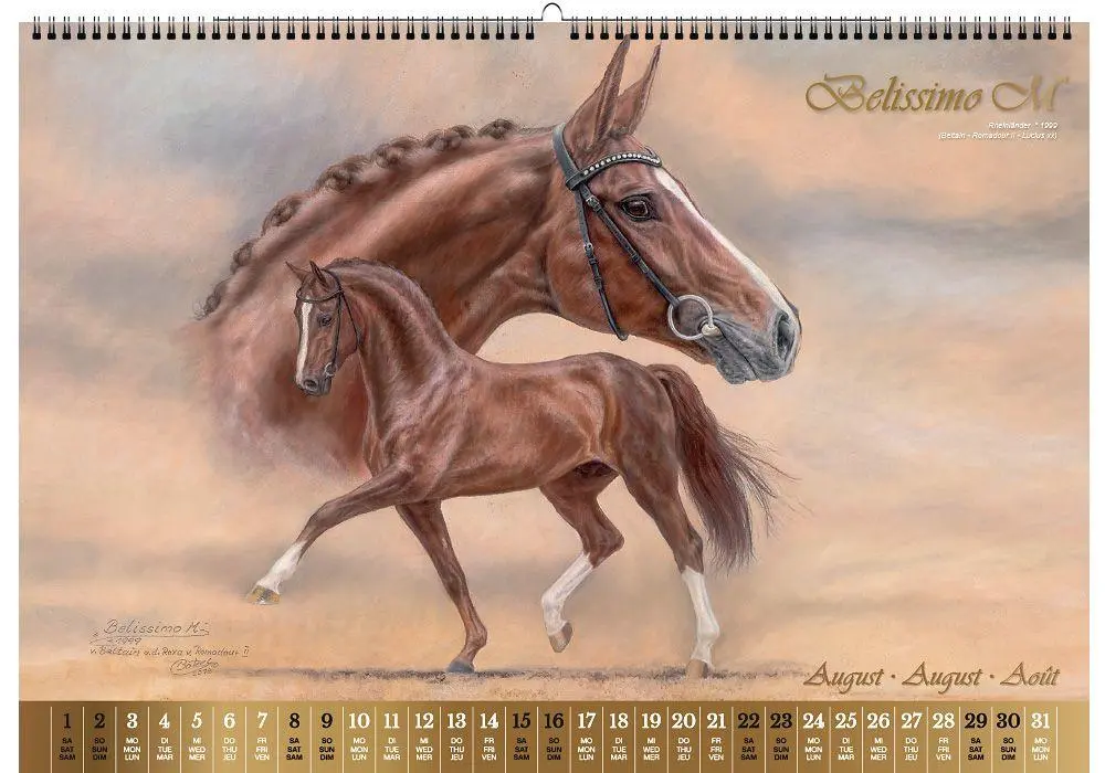 Bild: 9783949471117 | Vererberlegenden 2026 | Hengste der Warmblutzucht | Verlag | Kalender
