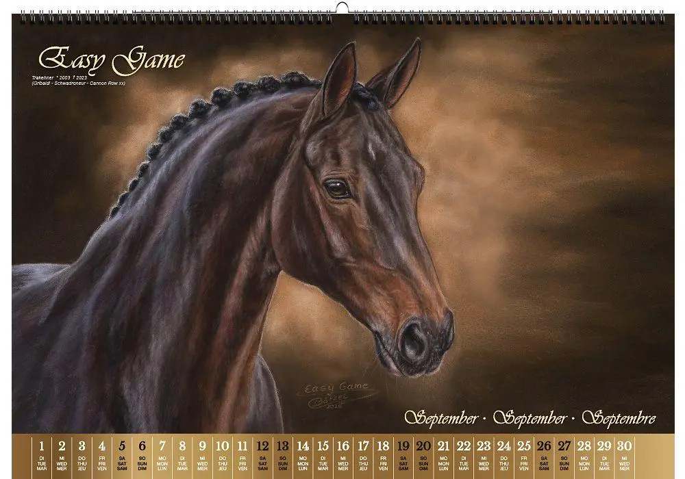 Bild: 9783949471117 | Vererberlegenden 2026 | Hengste der Warmblutzucht | Verlag | Kalender