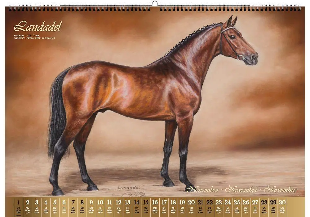Bild: 9783949471117 | Vererberlegenden 2026 | Hengste der Warmblutzucht | Verlag | Kalender