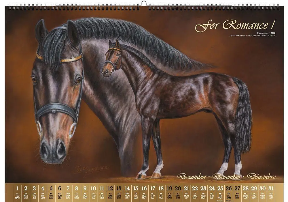 Bild: 9783949471117 | Vererberlegenden 2026 | Hengste der Warmblutzucht | Verlag | Kalender