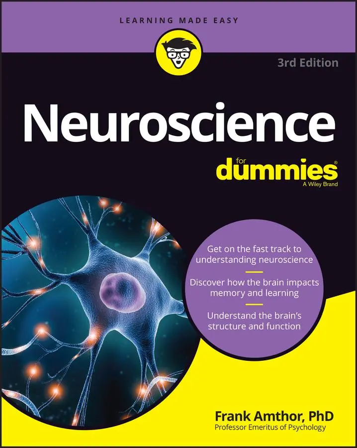 Cover: 9781394171217 | Neuroscience For Dummies | Frank Amthor | Taschenbuch | Englisch