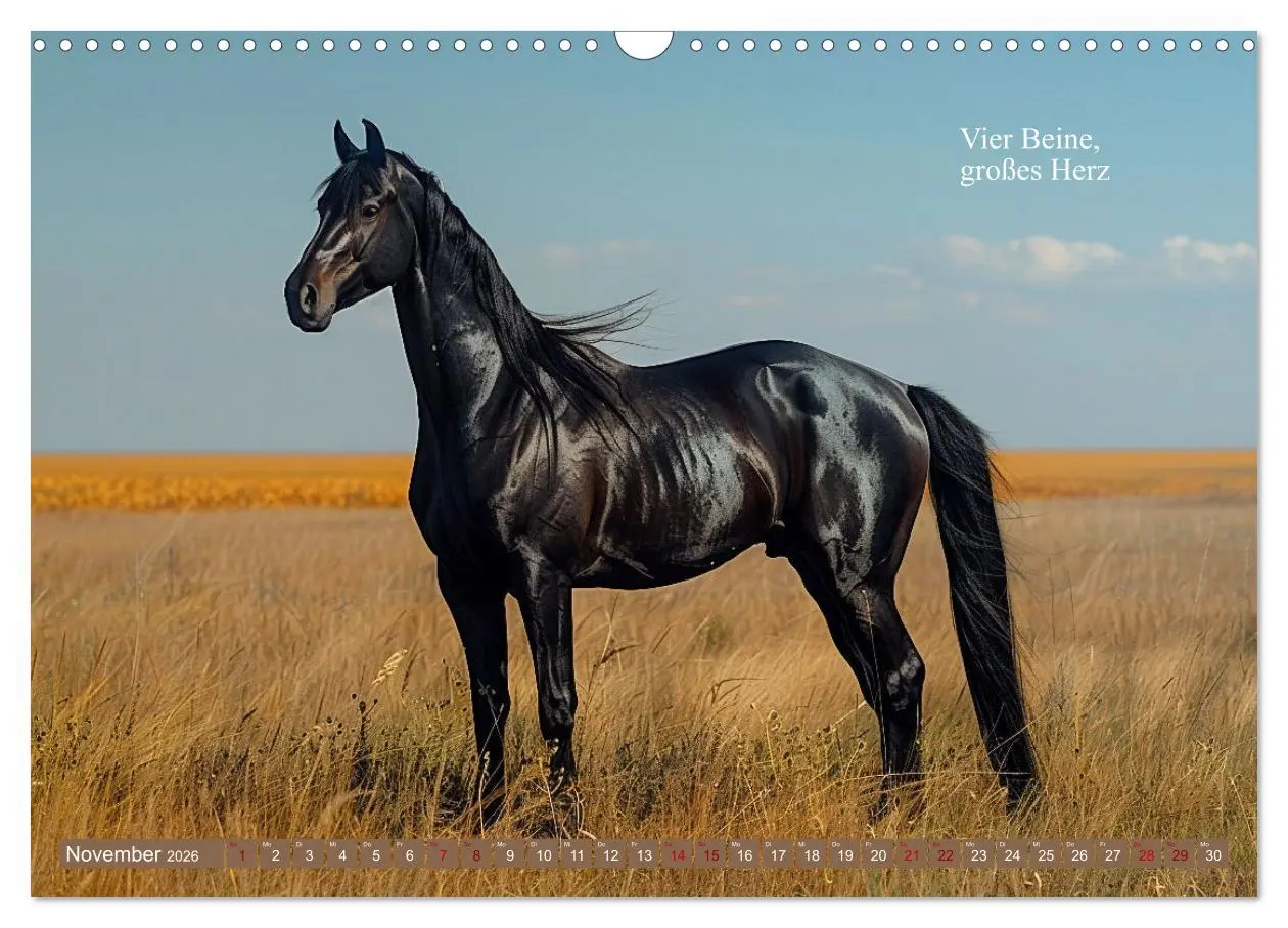 Bild: 9783457401217 | Pferde vervollständigen dein Leben (Wandkalender 2026 DIN A3 quer),...