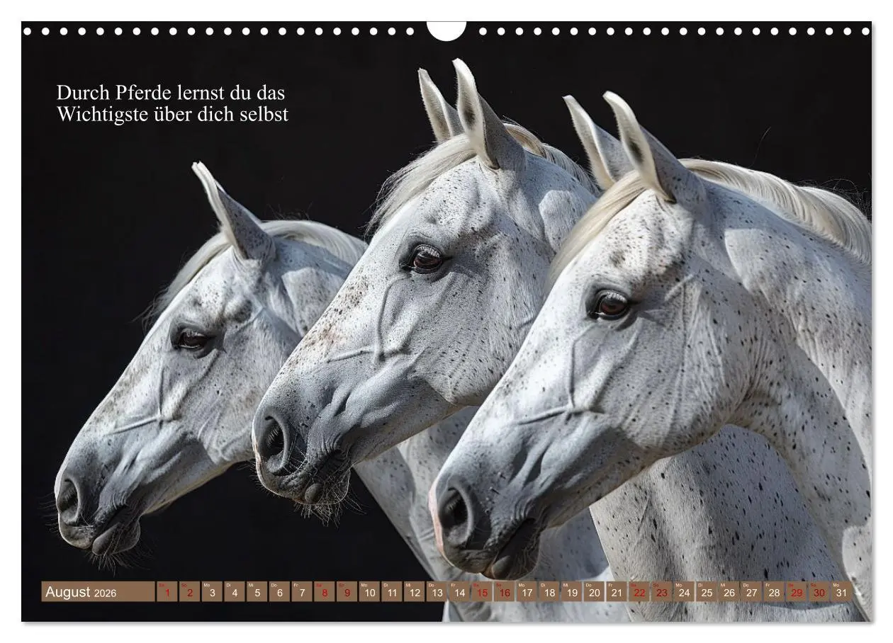 Bild: 9783457401217 | Pferde vervollständigen dein Leben (Wandkalender 2026 DIN A3 quer),...