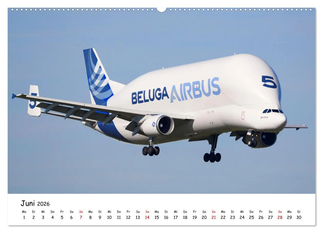 Bild: 9783457641217 | Flugzeuge am blauen Himmel (Wandkalender 2026 DIN A2 quer),...