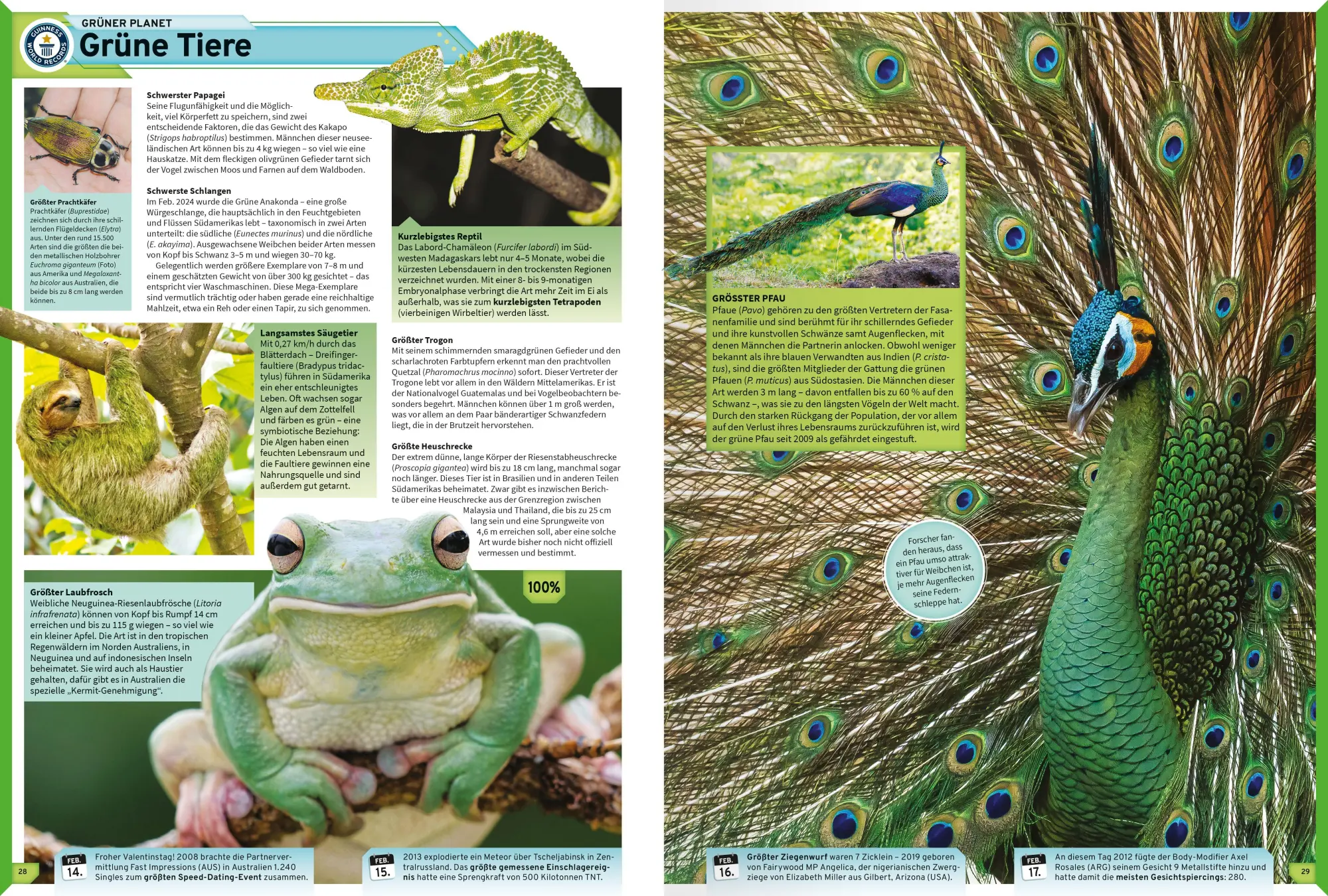Bild: 9783473481217 | Guinness World Records - 2027 | deutsche Ausgabe | Guinness World