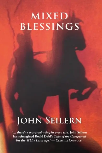 Cover: 9781068761317 | Mixed Blessings | Short Stories | John Seilern | Buch | Englisch