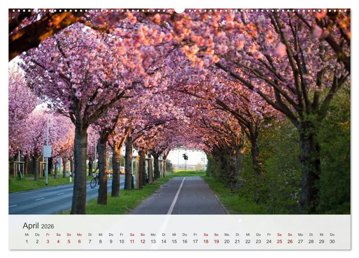 Bild: 9783457311417 | Magdeburg - Elbe, Dom ... und noch viel mehr! (Wandkalender 2026...