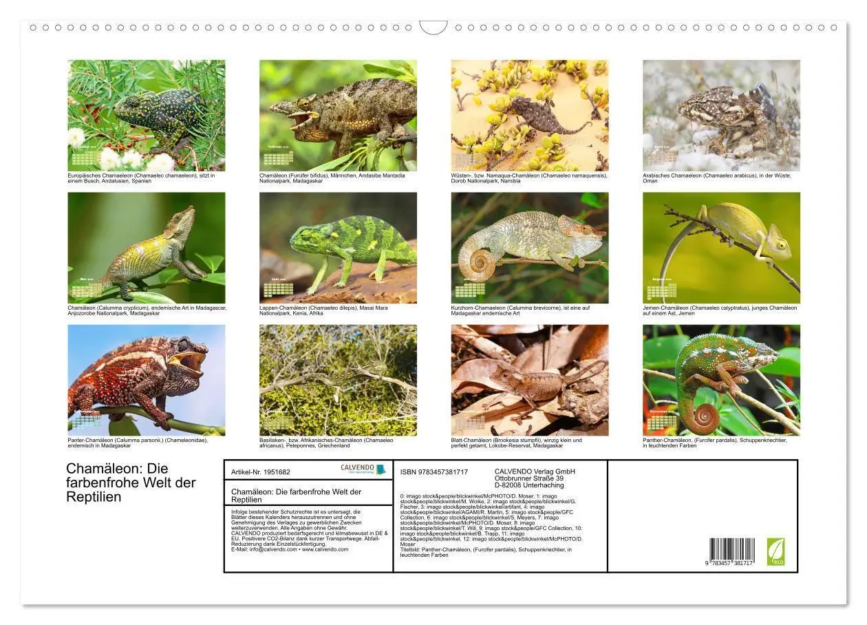 Bild: 9783457381717 | Chamäleon: Die farbenfrohe Welt der Reptilien (Wandkalender 2026...