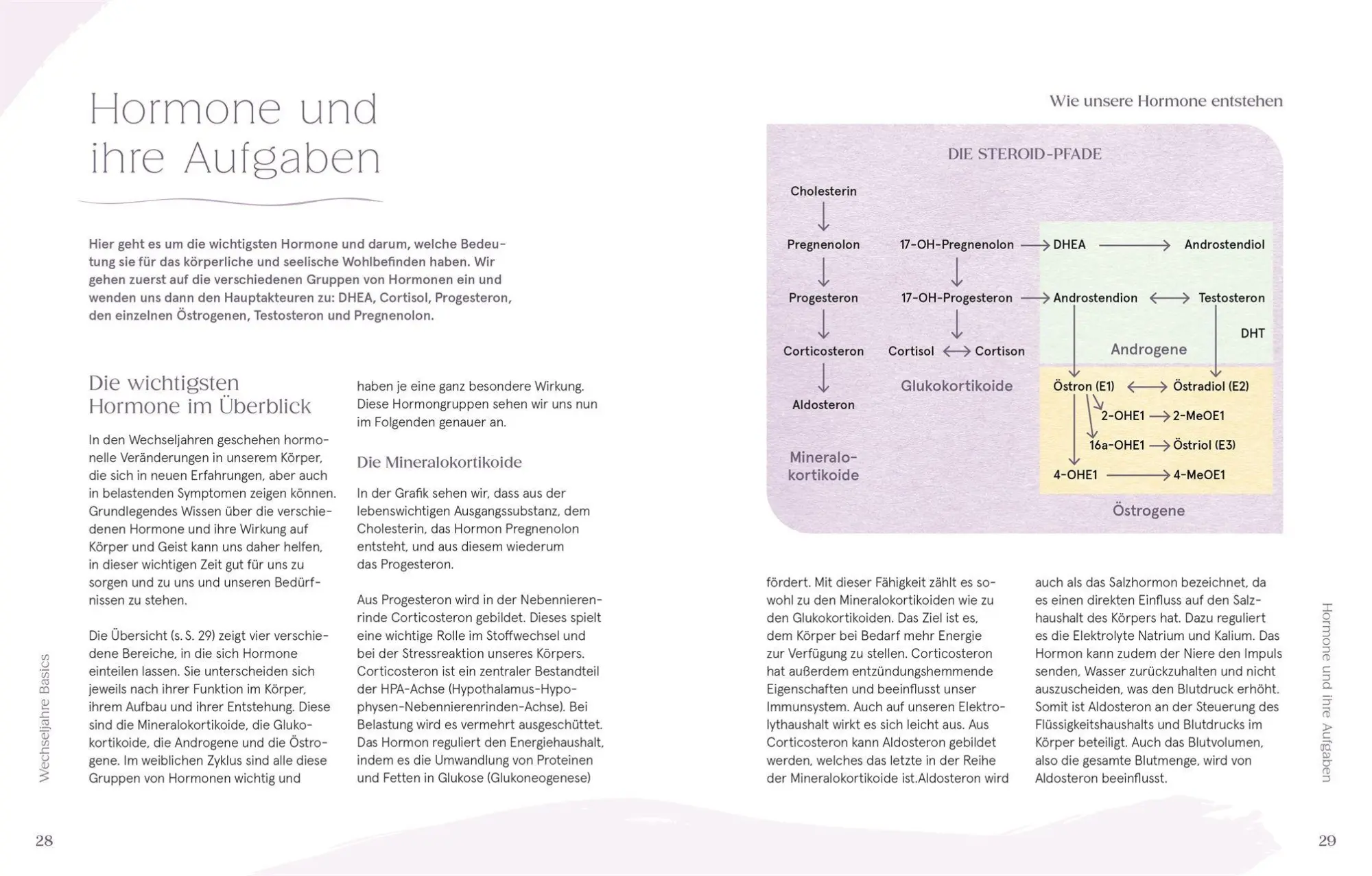 Bild: 9783831051717 | Glorious Menopause | Helena Wehner | Taschenbuch | 256 S. | Deutsch