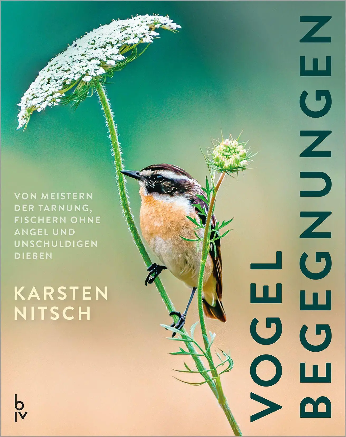 Vogelbegegnungen