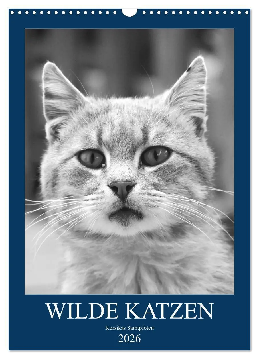 Cover: 9783516391817 | Wilde Katzen - Korsikas Samtpfoten (Wandkalender 2026 DIN A3 hoch),...