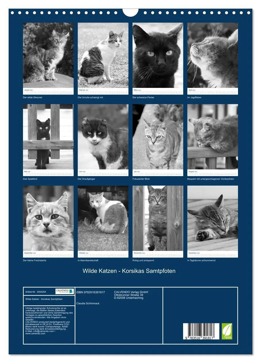 Bild: 9783516391817 | Wilde Katzen - Korsikas Samtpfoten (Wandkalender 2026 DIN A3 hoch),...