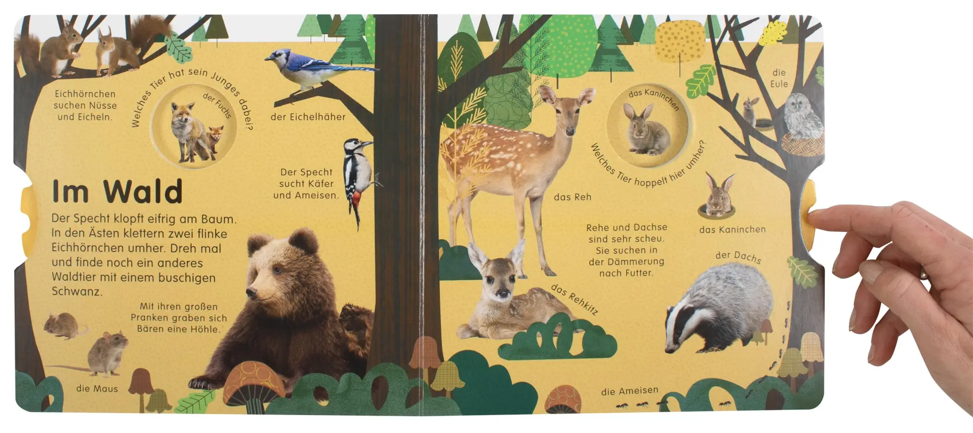 Bild: 9783831041817 | Erstes Lernen Drehen. So viele Tiere | DK Verlag - Kids | Buch | 12 S.