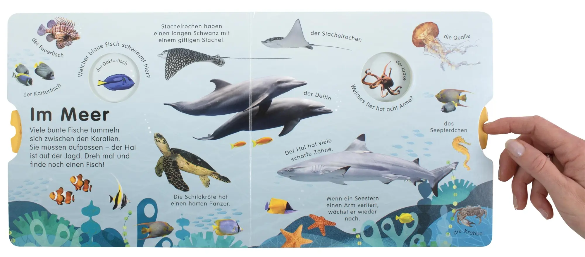 Bild: 9783831041817 | Erstes Lernen Drehen. So viele Tiere | DK Verlag - Kids | Buch | 12 S.