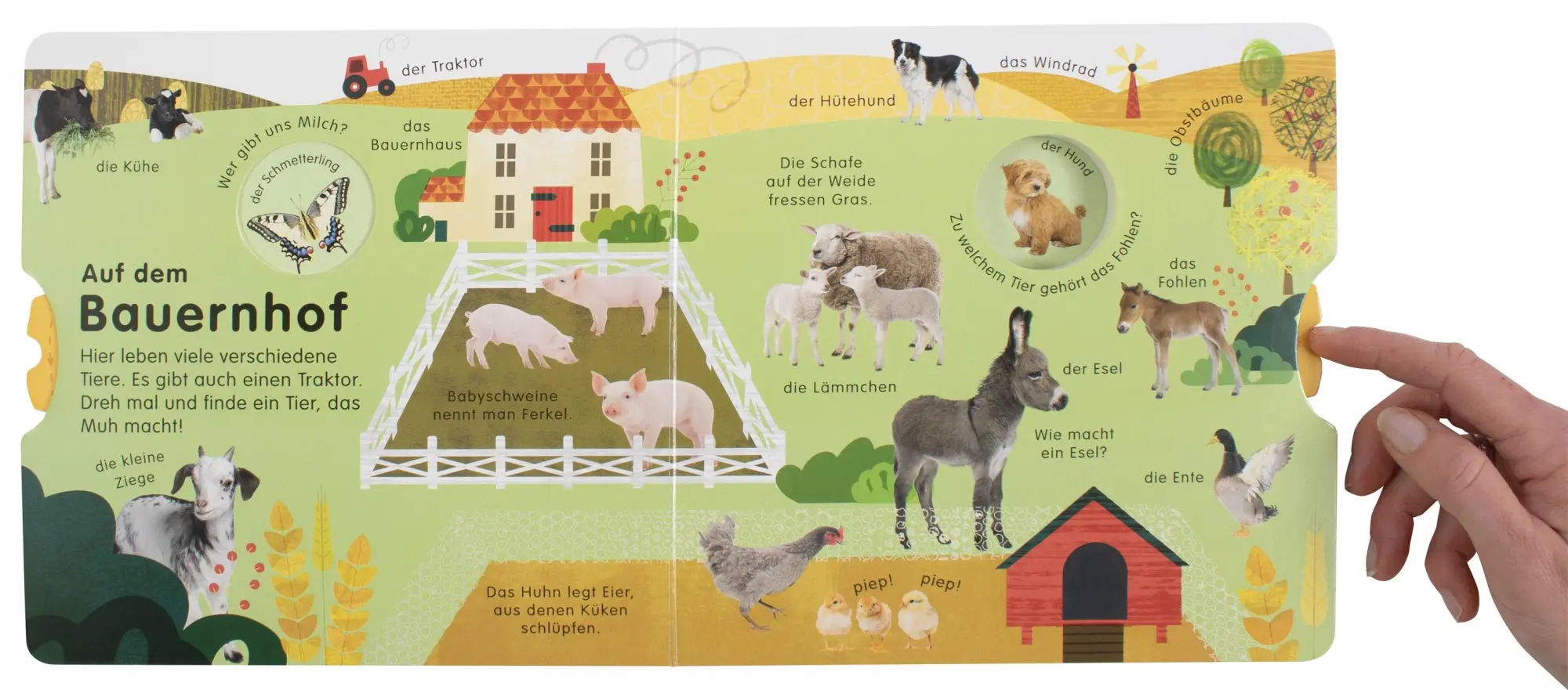 Bild: 9783831041817 | Erstes Lernen Drehen. So viele Tiere | DK Verlag - Kids | Buch | 12 S.