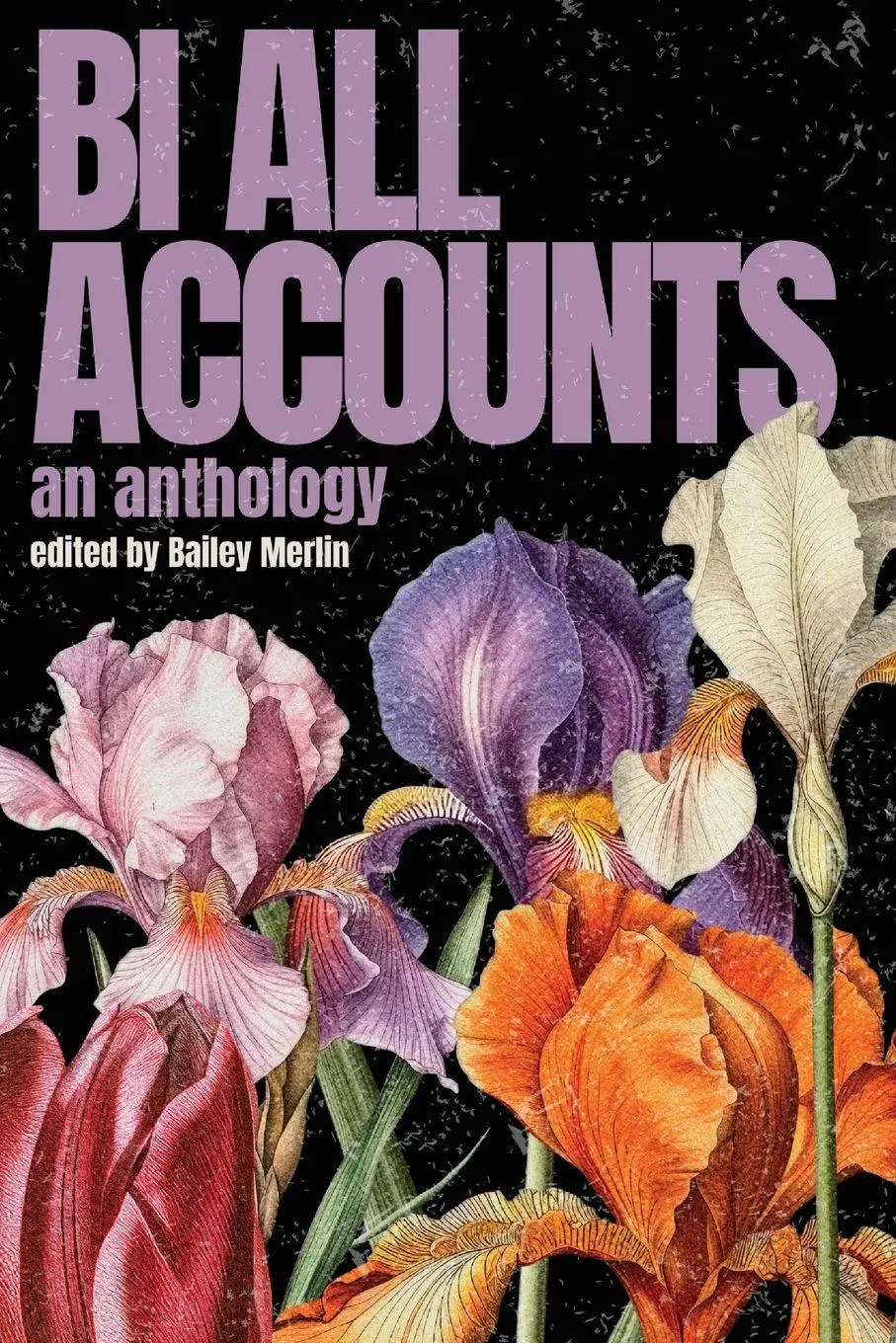 Cover: 9798349401817 | Bi All Accounts | An Anthology of Bi+ Voices, Volume 1 | Bailey Merlin