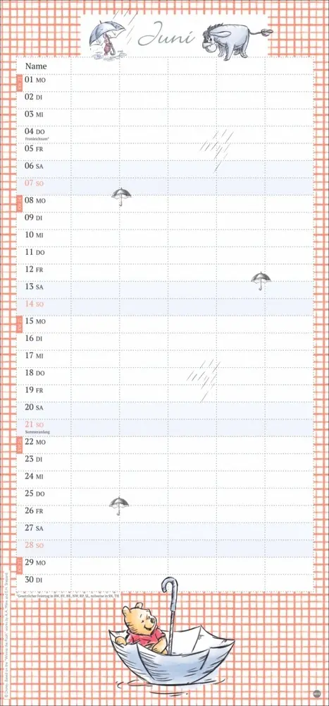 Bild: 9783756411917 | Winnie Puuh Familienplaner 2026 | Heye | Kalender | Spiralbindung
