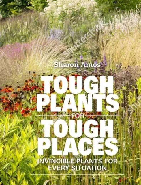Cover: 9781914902017 | Tough Plants for Tough Places | Invincible Plants for Every Situation