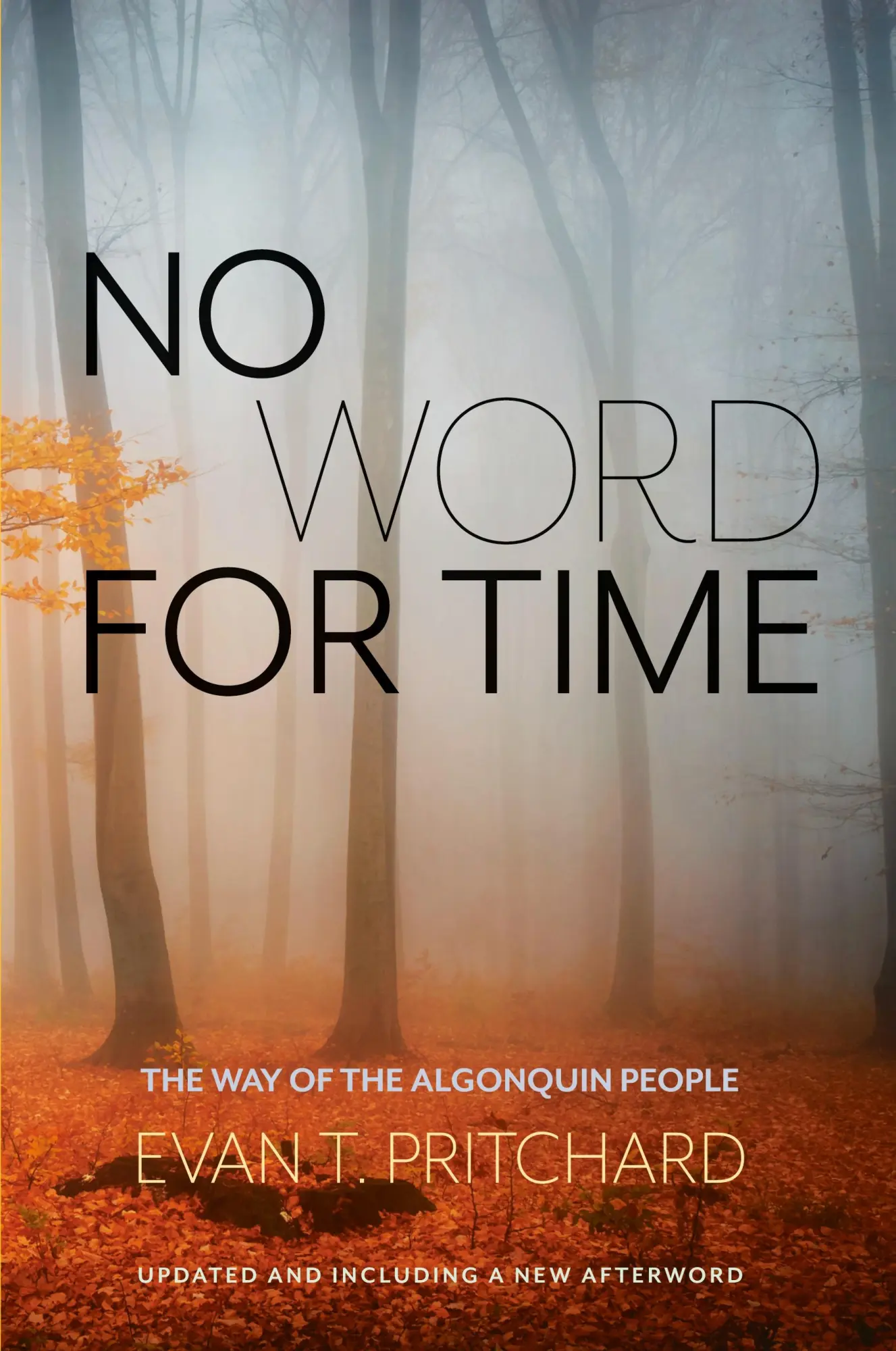 Cover: 9781937462017 | No Word for Time | The Way of the Algonquin | Evan Pritchard | Buch