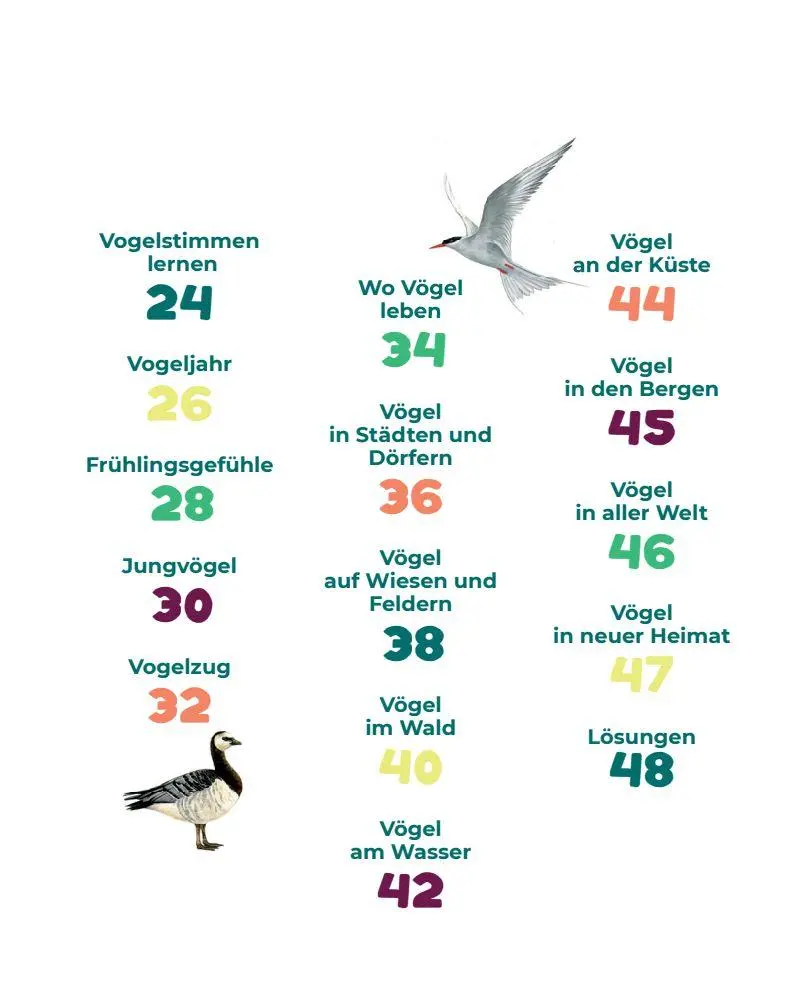 Bild: 9782970172017 | Birding - Entdecke die Wunderwelt der Vögel. | Silke Hartmann | Buch