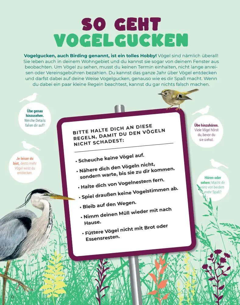 Bild: 9782970172017 | Birding - Entdecke die Wunderwelt der Vögel. | Silke Hartmann | Buch