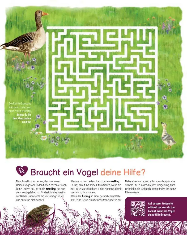 Bild: 9782970172017 | Birding - Entdecke die Wunderwelt der Vögel. | Silke Hartmann | Buch