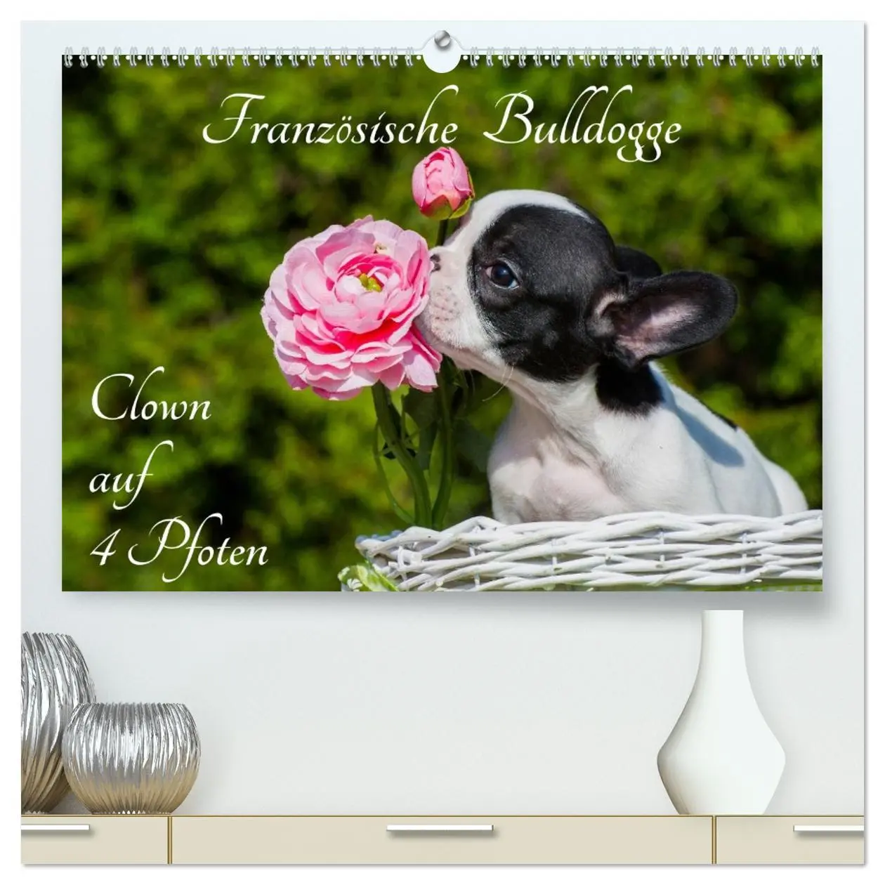 Cover: 9783516032017 | Französische Bulldogge - Clown auf 4 Pfoten (hochwertiger Premium...