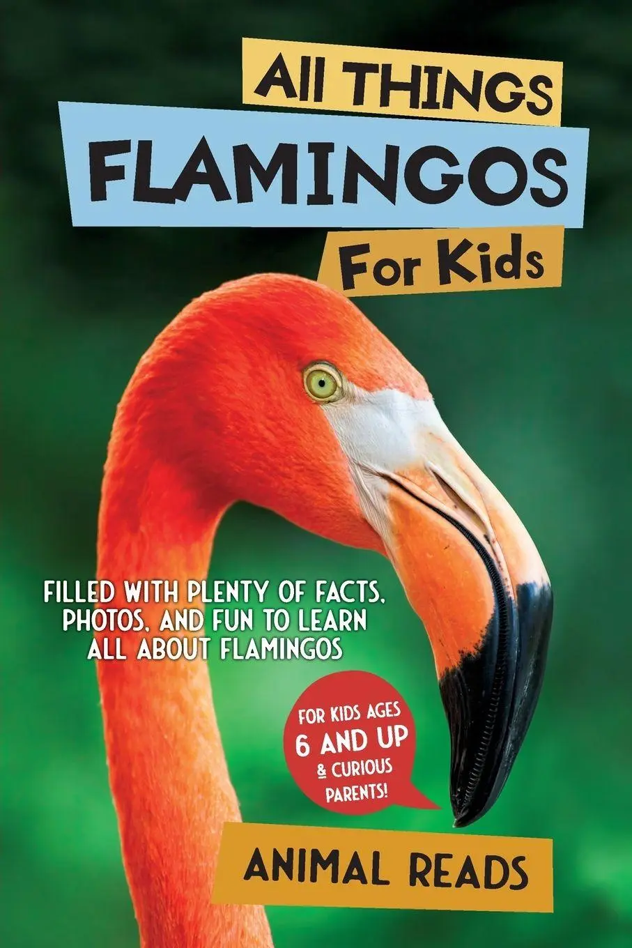 Cover: 9783967722017 | All Things Flamingos For Kids | Animal Reads | Taschenbuch | Englisch