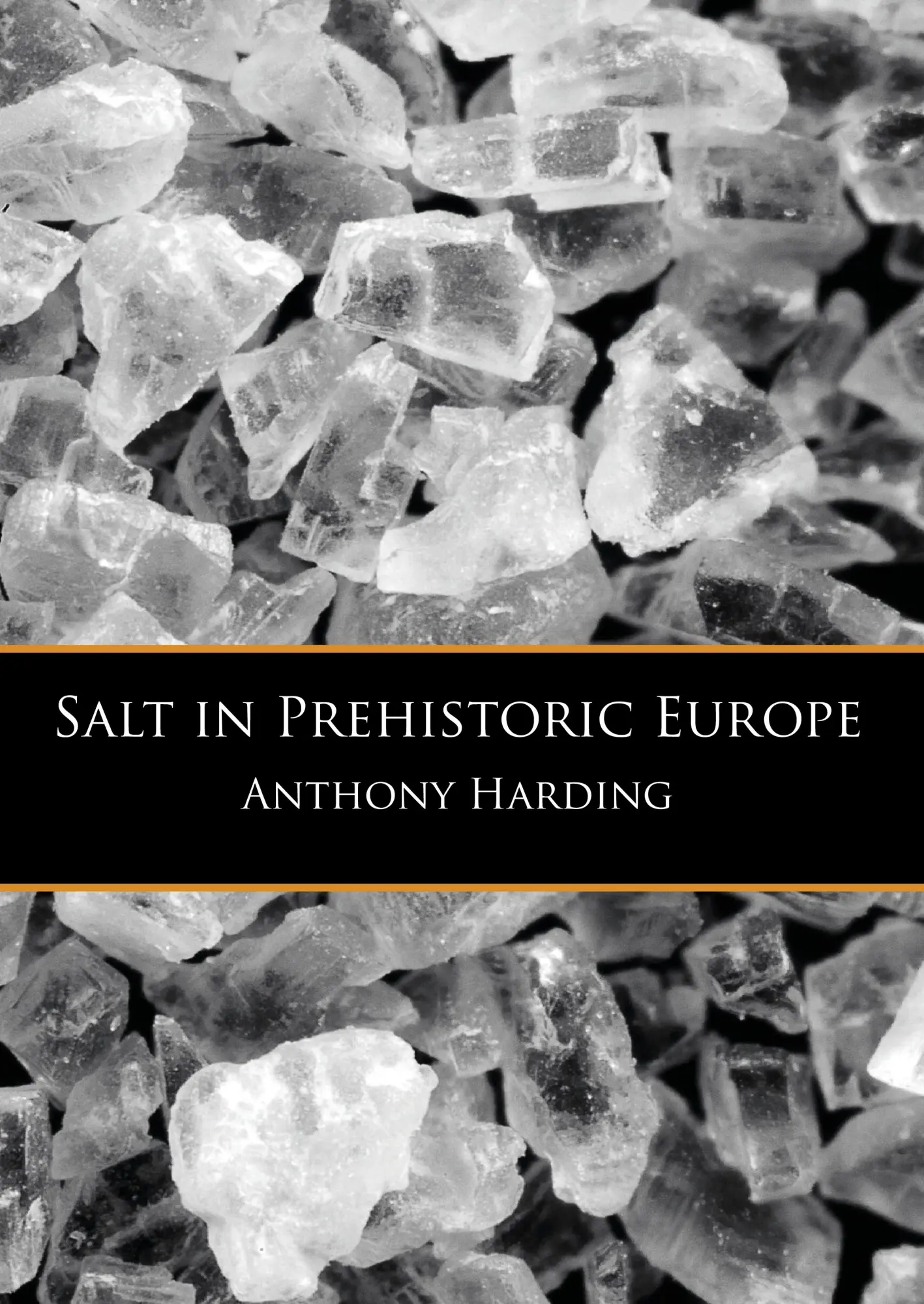 Cover: 9789088902017 | Salt in Prehistoric Europe | Anthony Harding | Taschenbuch | 164 S.
