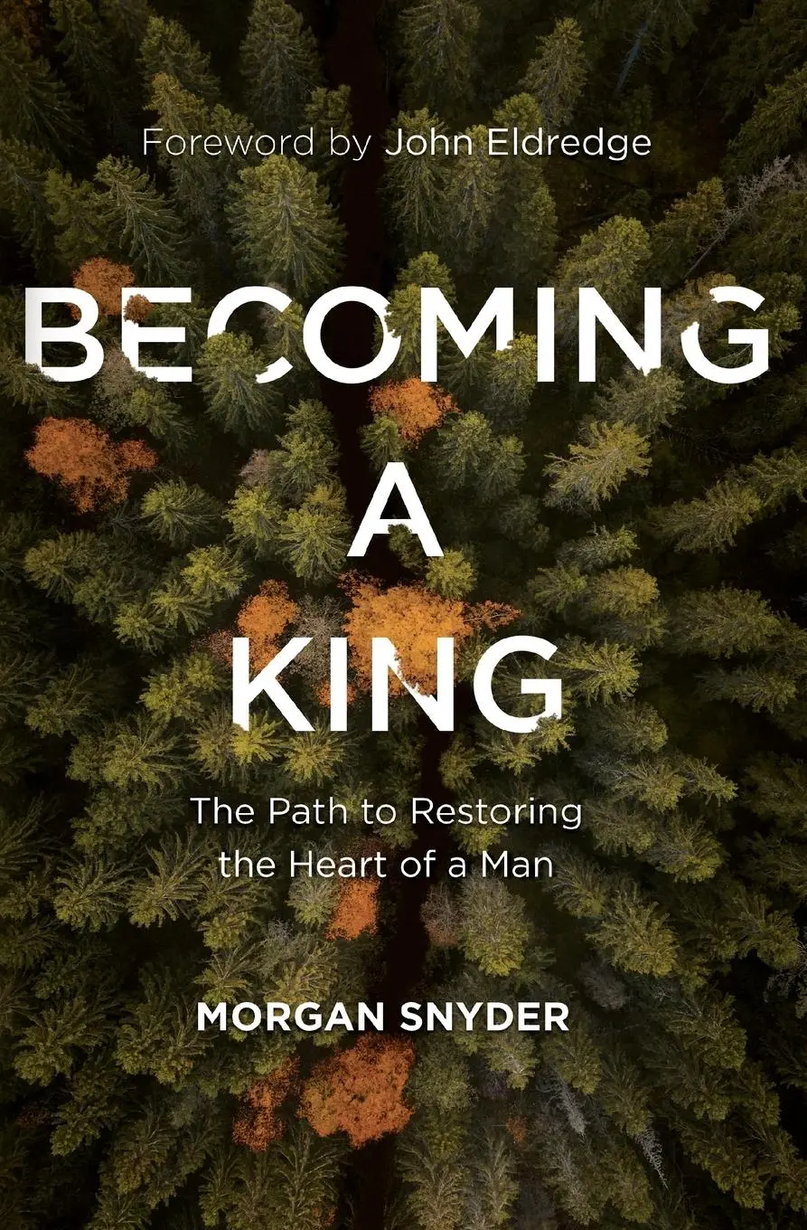Cover: 9780785232117 | Becoming a King | The Path to Restoring the Heart of a Man | Snyder