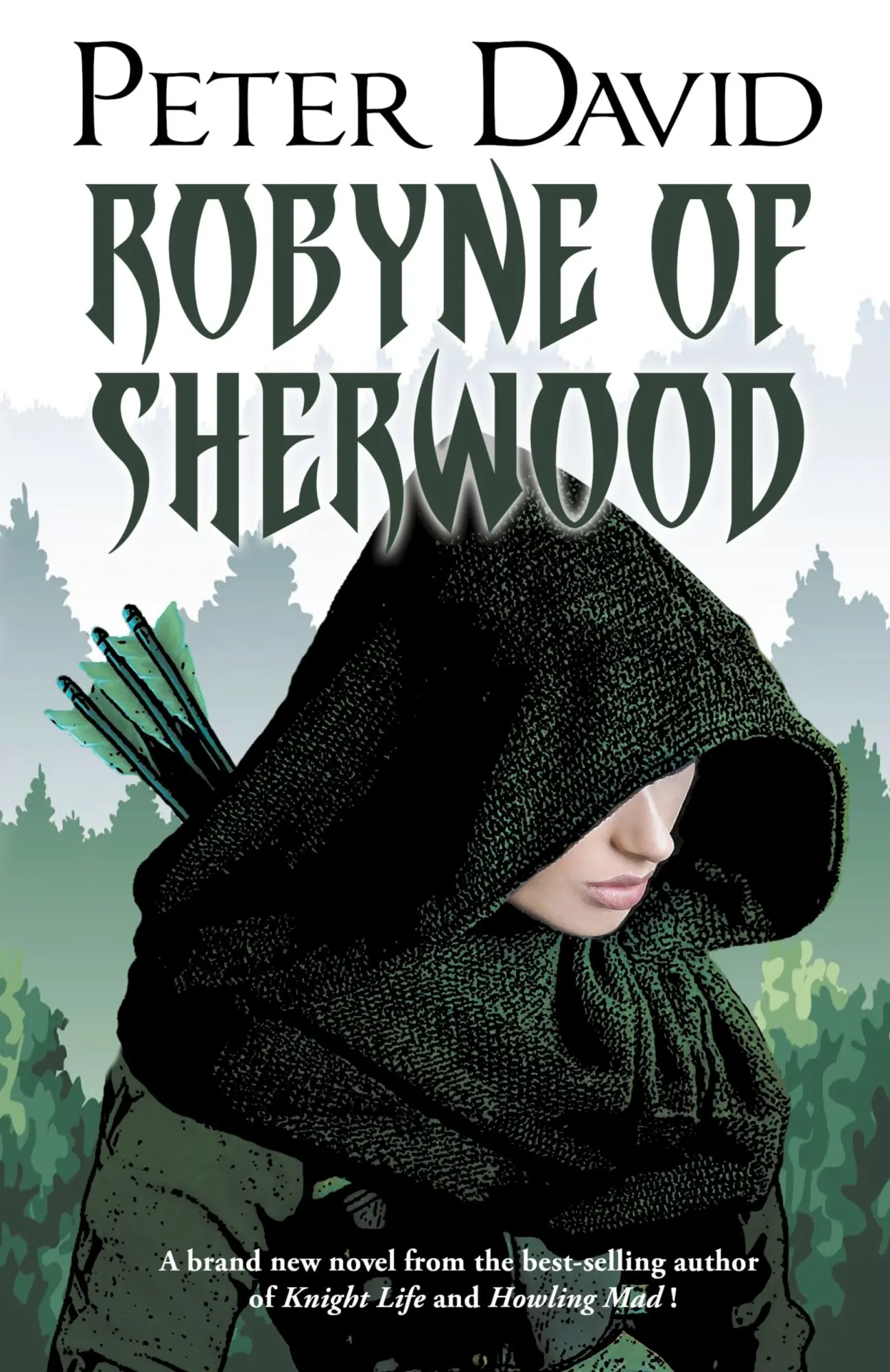 Cover: 9781958482117 | Robyne of Sherwood | Peter David | Taschenbuch | Englisch | 2024