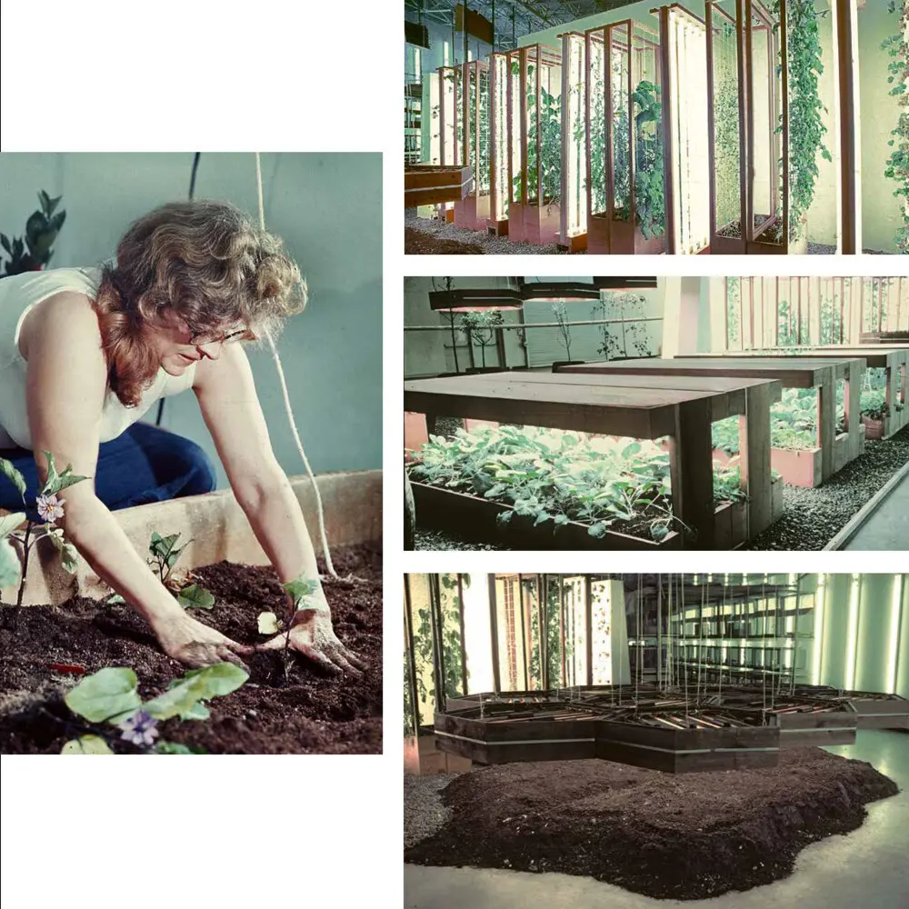 Bild: 9783422802117 | Helen and Newton Harrison | California Work | Tatiana Sizonenko | Buch