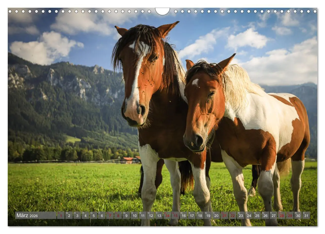 Bild: 9783457482117 | Ostallgäu - Zwischen Aggenstein und Forggensee (Wandkalender 2026...