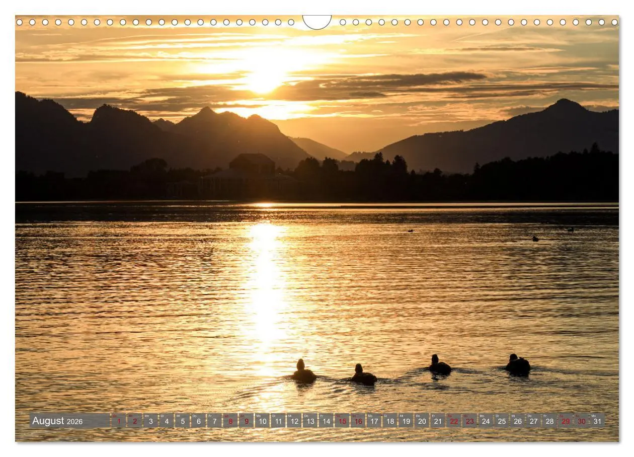 Bild: 9783457482117 | Ostallgäu - Zwischen Aggenstein und Forggensee (Wandkalender 2026...