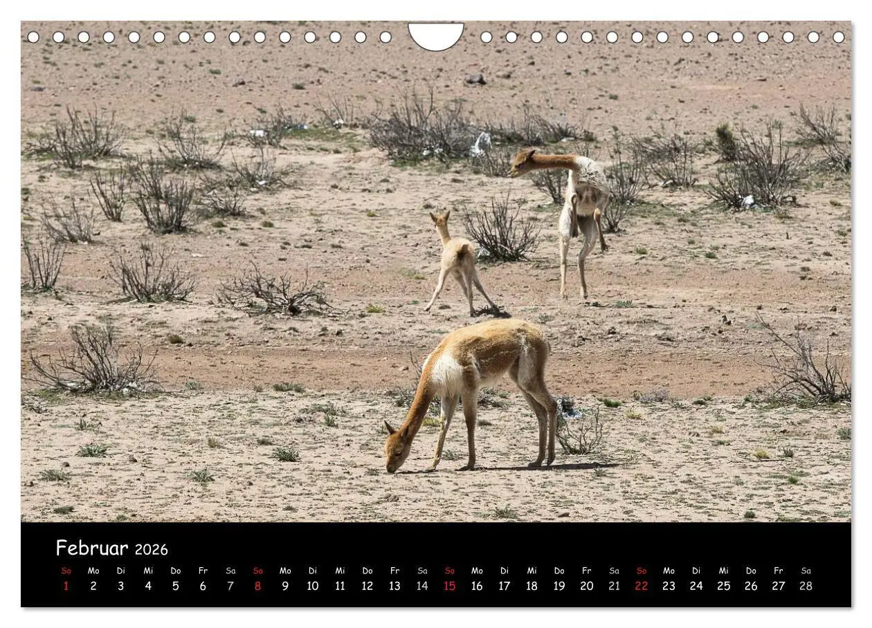 Bild: 9783516022117 | Traumziel Peru (Wandkalender 2026 DIN A4 quer), CALVENDO...
