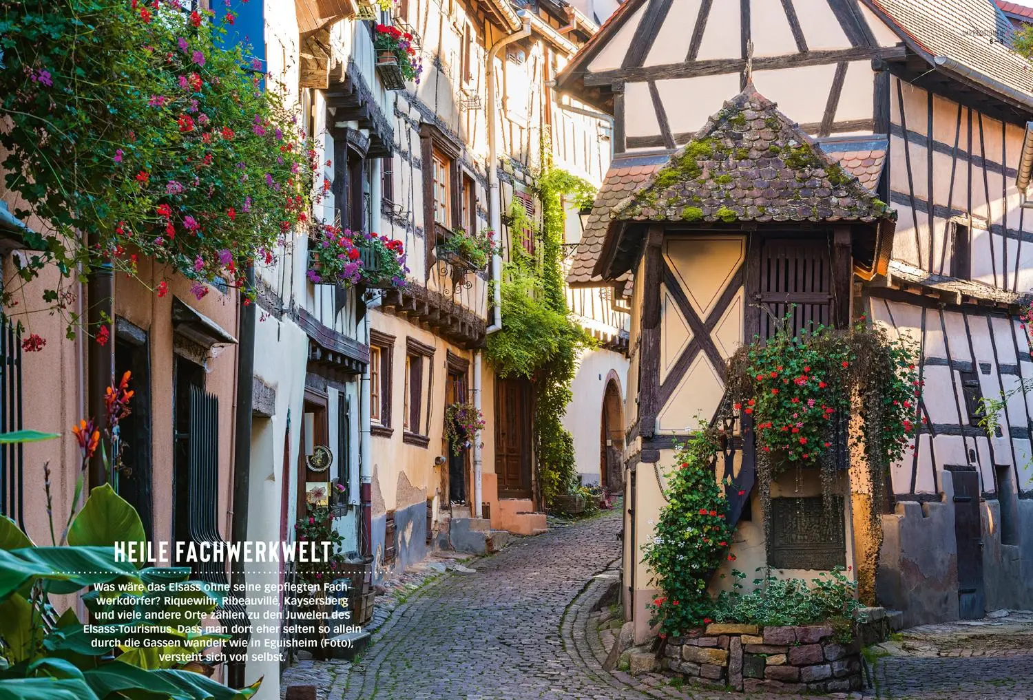 Bild: 9783616012117 | DUMONT Bildatlas Elsass | Dina Stahn | Taschenbuch | DuMont Bildatlas