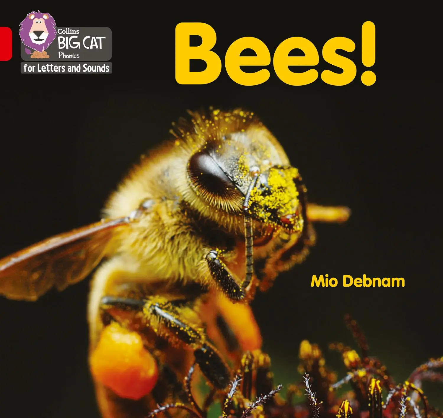 Cover: 9780008442217 | Bees! | Band 02b/Red B | Mio Debnam | Taschenbuch | Englisch | 2021